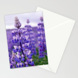Icelandic lupine flowers Stationery Cards