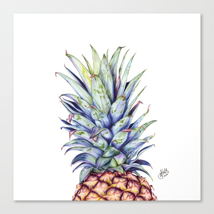 pineapple drawing Canvas Print