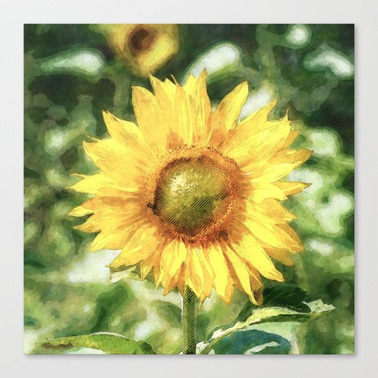 Sunflower Canvas Print