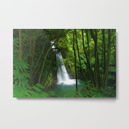 Waterfall in the Azores Metal Print | Trunks, Rainforest, Waterscene, Forest, Photo, Nature, Landscape, Naturalworld, Jungle, Woods 