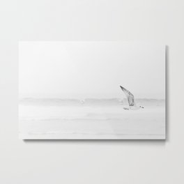 Minimal Black and White Beach Print - Bird Flight - Elegant Ocean Print - Seagull - Sea Photography  Metal Print