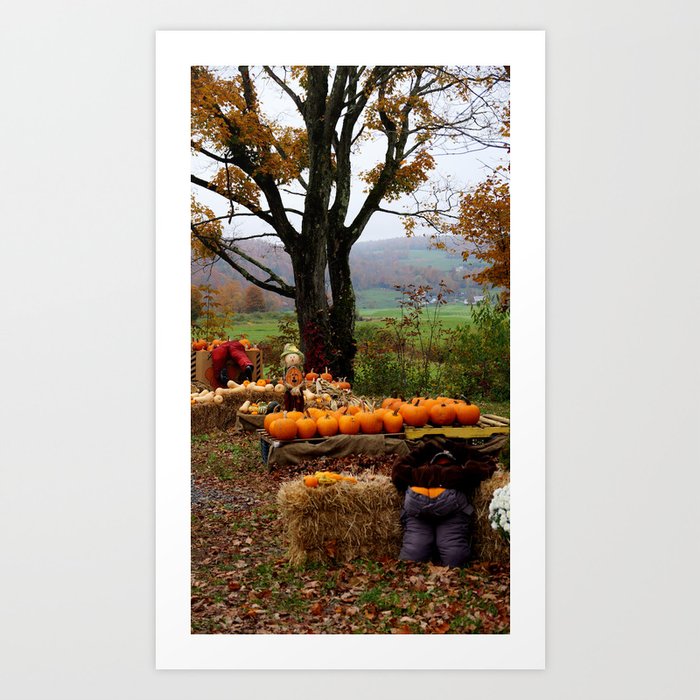 Pumpkins For Sale Art Print