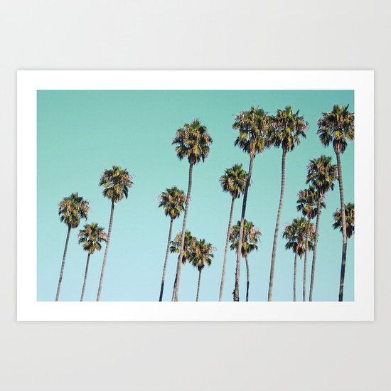 Palm Trees Art Print