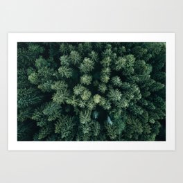 Forest from above - Landscape Photography Art Print