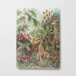 Mushroomlandia Vintage Botanical Print by Ernst Haeckel Metal Print