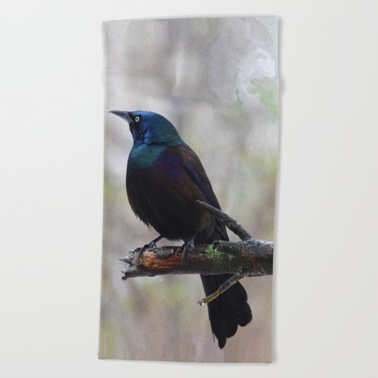 Yonder (Common Grackle) Beach Towel