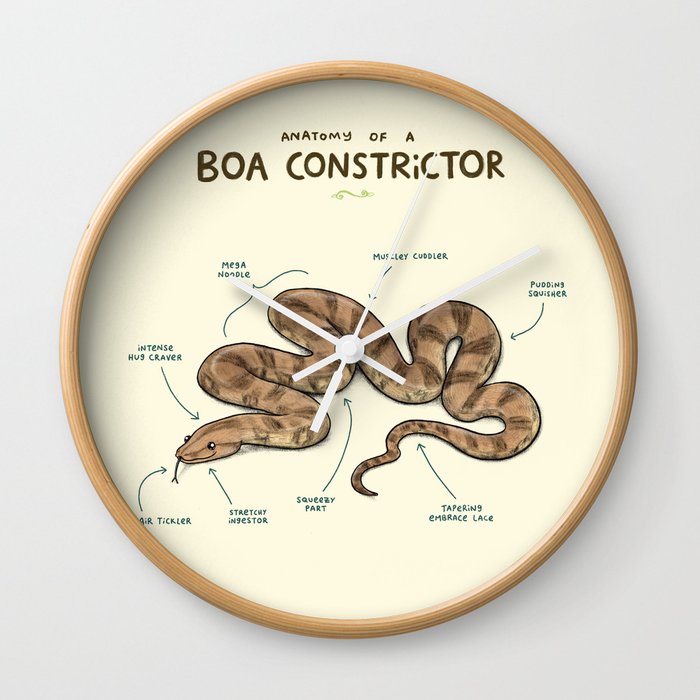 Anatomy of a Boa Constrictor Wall Clock