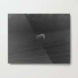 Light Touch II Metal Print | Black And White, Landscape, Nature, Minimalistic, Photo, Travel, 4X5, Natural, Fineart, Peaceful 