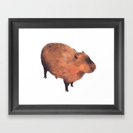 Capybara  Framed Art Print