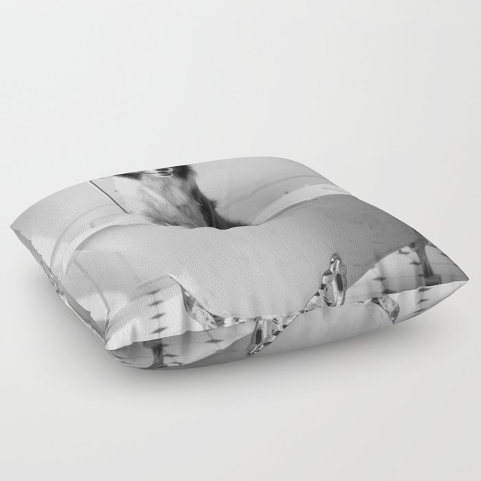 Border collie dog in a bear foot vintage bathtub black and white photograph - photography - photographs Floor Pillow