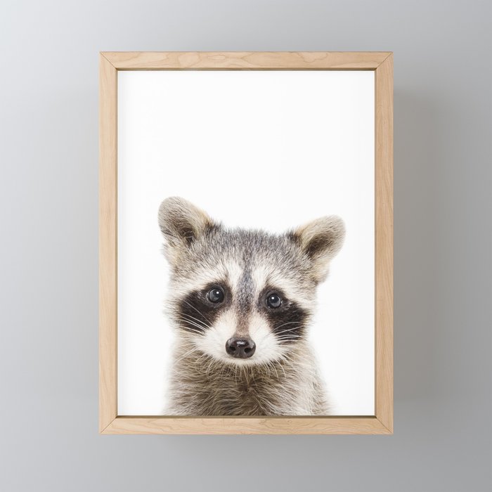 Cute Baby Raccoon, Woodland Animals, Kids Art, Baby Animals Art Print By Synplus Framed Mini Art Print