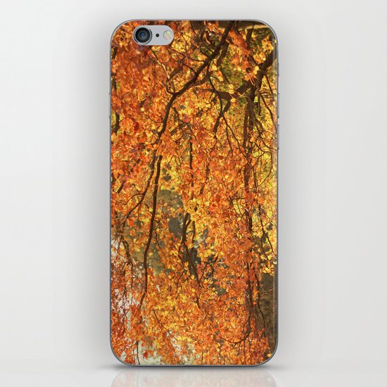 Autumn II iPhone & iPod Skin