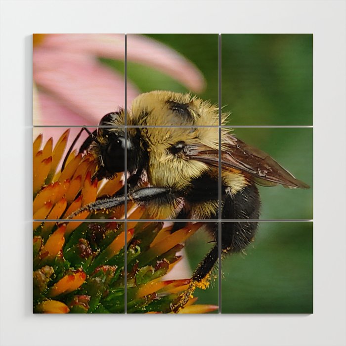 Bee's Feeding Time Wood Wall Art