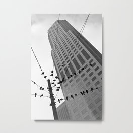 Birds Station  Metal Print | Animal, Highrise, Building, City, Electricalpole, Bw, Bird, Birds, Sanfrancisco, Structures 