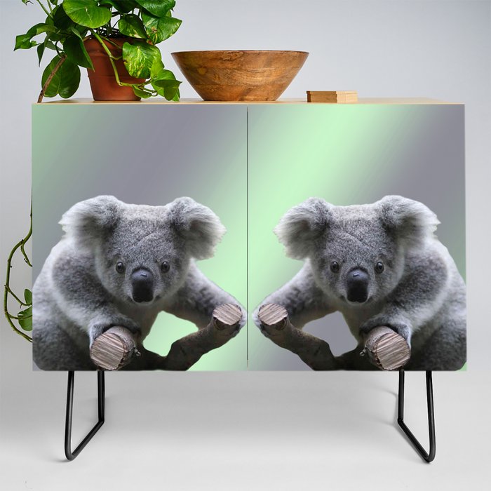Koala online tv stand