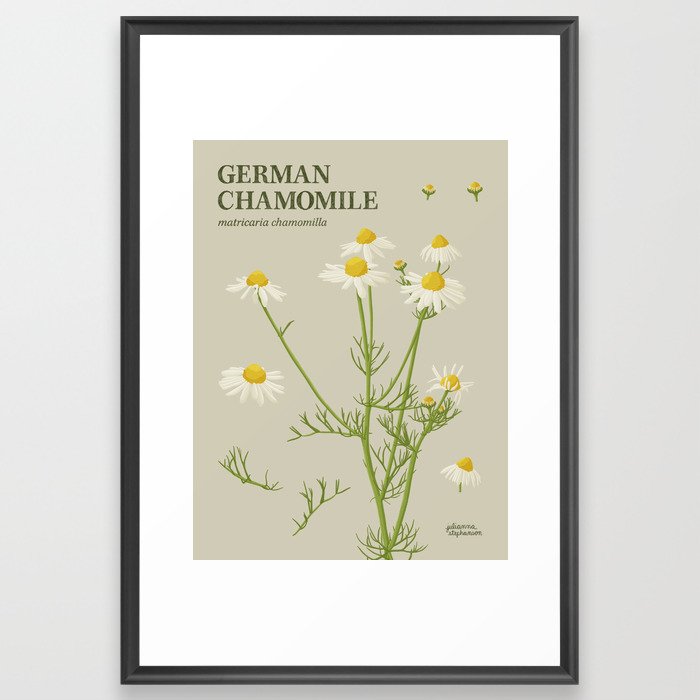 Botanical German Chamomile Framed Art Print