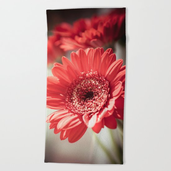 Red Gerbera Beach Towel