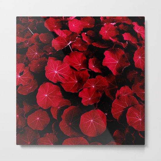 red leafs VII Metal Print