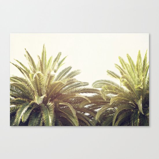 Sunlit Palms Canvas Print