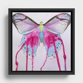 BUTTERFLY Framed Canvas