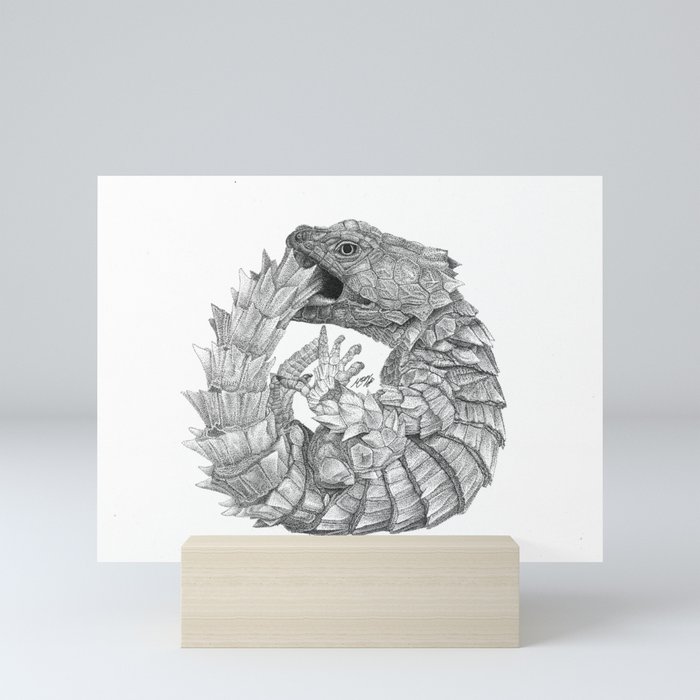 Armadillo Girdled Lizard Mini Art Print