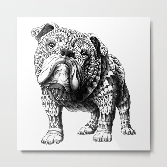 English Bulldog Metal Print