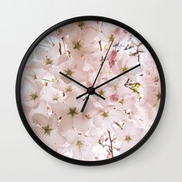 Botanical Spring Cherry Blossoms Wall Clock