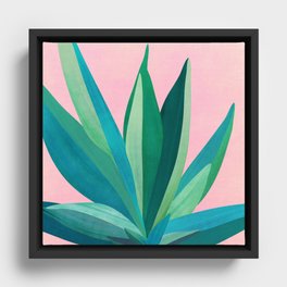 Spring Cactus With Pink Sky / Desert Series Framed Canvas