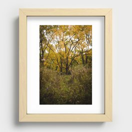 Walk Through Fall Recessed Framed Print