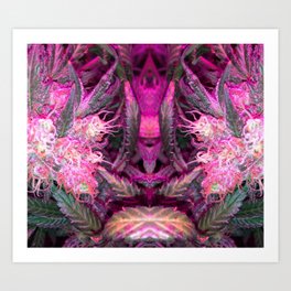 Pink Paradise Art Print | Weed, High, Psychedelic, Weeds, Trip, Plant, Pink, Photo, Digital Manipulation, Cannabis 