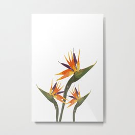Bird of Paradise Metal Print | Tropical, Blume, Birdflower, Colourful, Floral, Flower, Exotisch, Paradiesblume, Bird, Paradies 