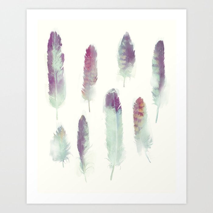 Feathers // Birds of Prey Art Print