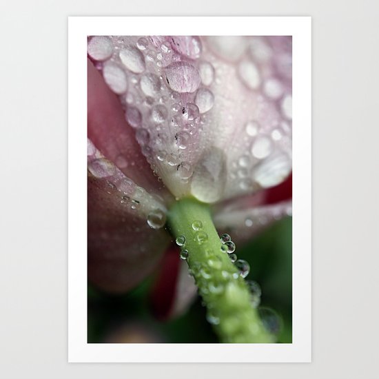 Stem The Flow Art Print