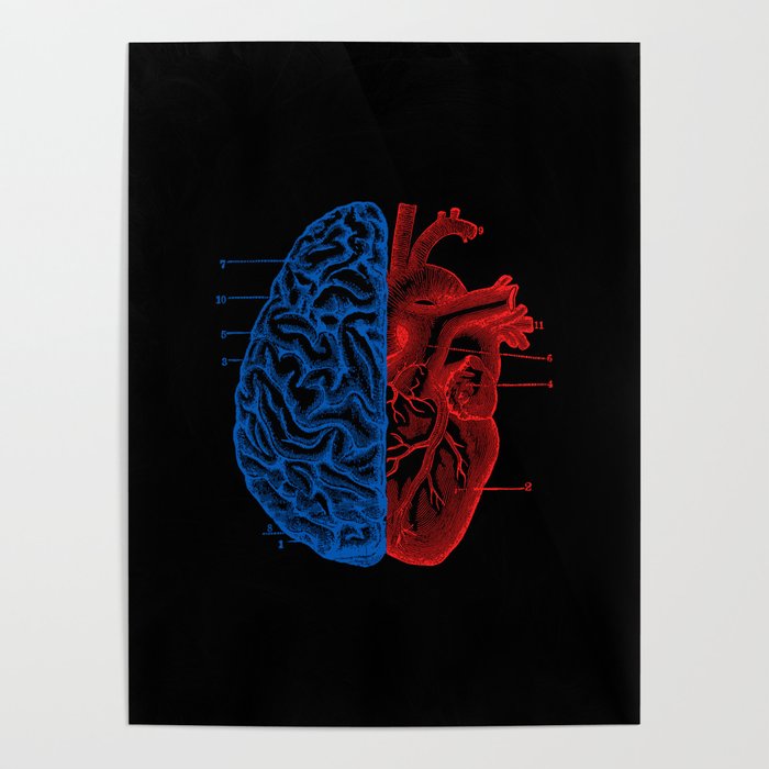 Heart and Brain Poster
