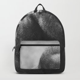 The Look Of A Silver Back Backpack