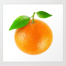 Orange fruit Art Print | Healthy, Food, Sticker, White, Branch, Design, Diet, Vegetarian, Diecut, Photo 