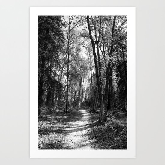 Hiking Path Through Forest Art Print