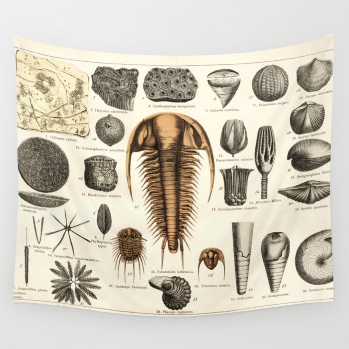 Fossil Chart Wall Tapestry
