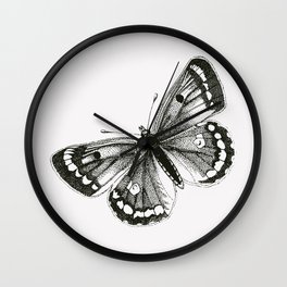 Clouded Yellow Butterfly Wall Clock | Wings, Bug, Macro, Colias, Insects, Flower, Cloudedyellow, Nature, Butterfly, Summer 