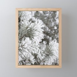 Dressed in Frost Framed Mini Art Print