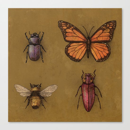 "B" is for... Canvas Print