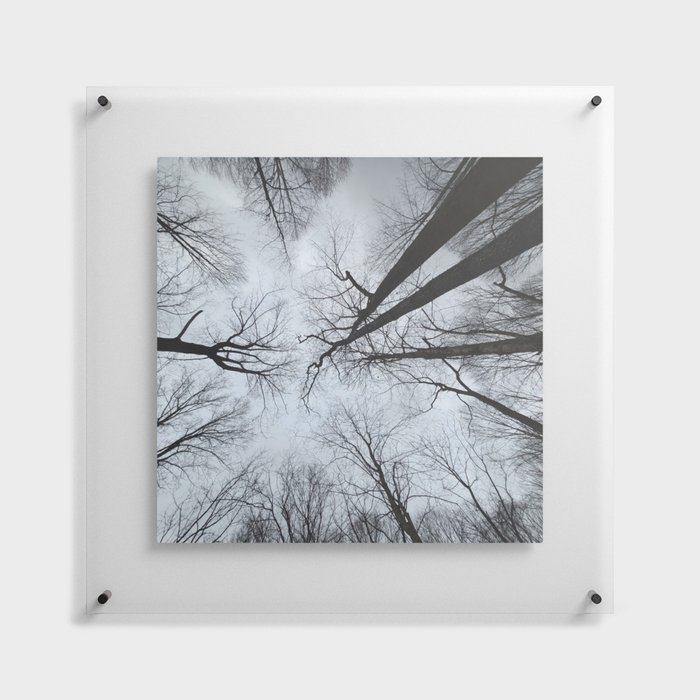 Tree Charm Floating Acrylic Print