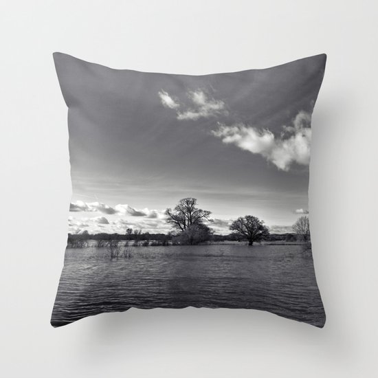 water world... Throw Pillow
