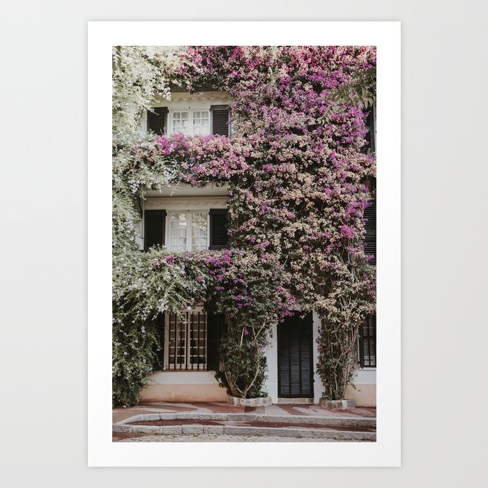 Saint-Tropez House with Flowers in France | Fine Art Travel Photography Art Print