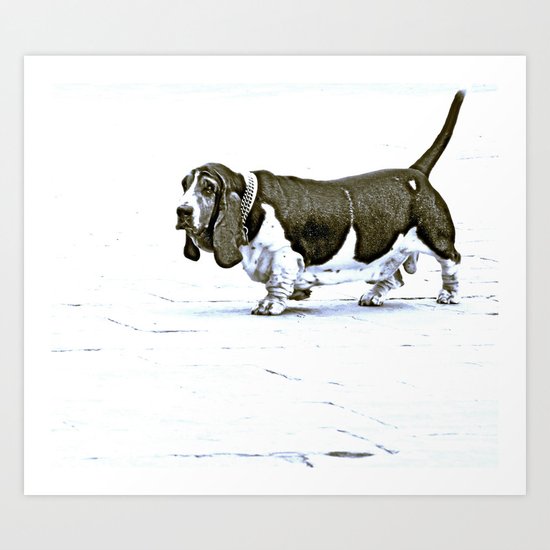 Basset Hound Art Print