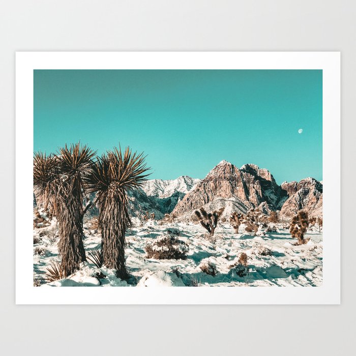Vintage Lovers Cacti // Red Rock Canyon Mojave Nature Plants and Snow Desert in the Winter Art Print