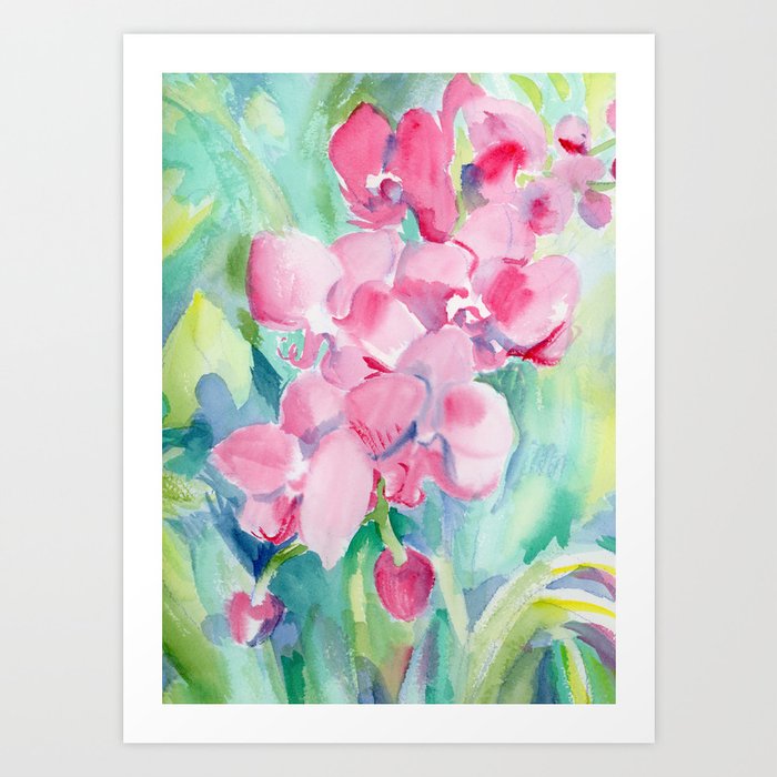 San Antonio Botanical Garden: Pink Orchid Art Print