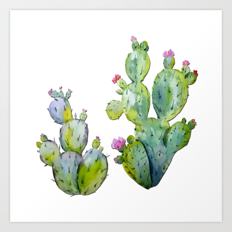 pix Watercolor Prickly Pear Cactus Painting prickly pear original drawing art