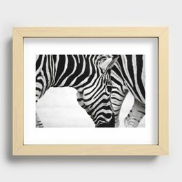 Beautiful Zebra Recessed Framed Print