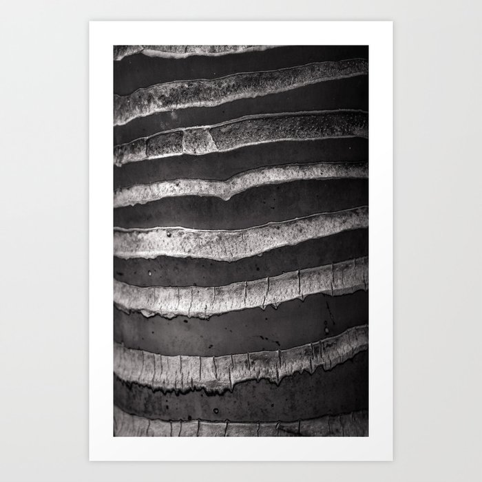 Layers - Contemporary Black and White Abstract Art Print